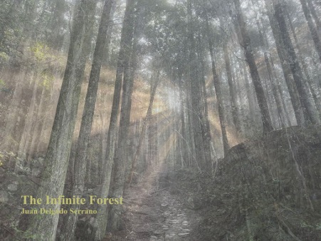 theinfiniteforest